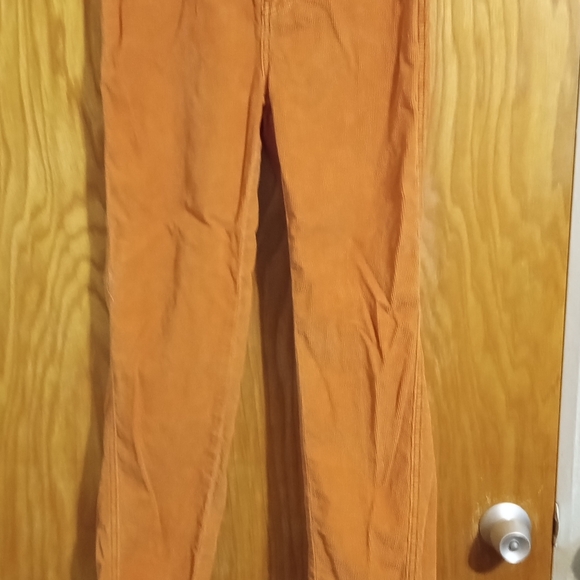 We The Free Pants - 5/$25 We the Free People Raw Hem Straight Leg-Rust Corduroy Jeans 26